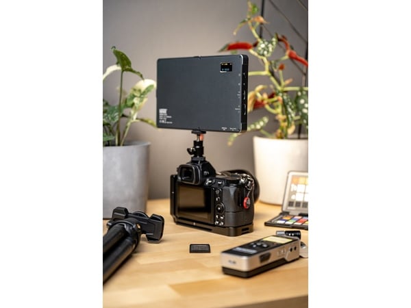 Newell RGB-W Rangha Max LED-lampa