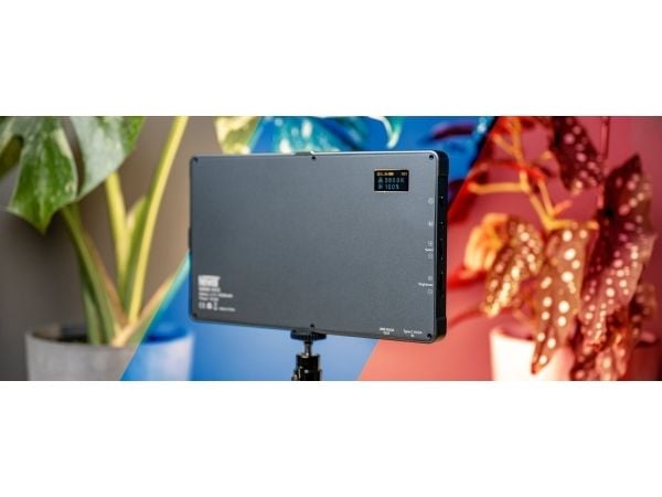 Newell RGB-W Rangha Max LED-lampa