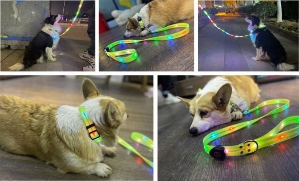 DoggyVillage SIGNAL bånd med farget LED-lys for mellomstore og store hunder, rød