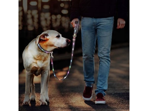 DOGGY VILLAGE signalhalsband MT7120 röd - LED-hundhalsband - 1,2 m