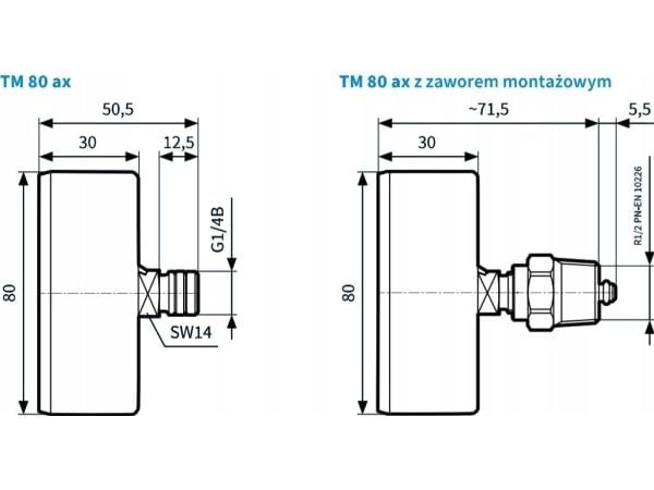 Afriso termomanometer TM80 0-10 bar 1/2" AX 20-120°C (S)A