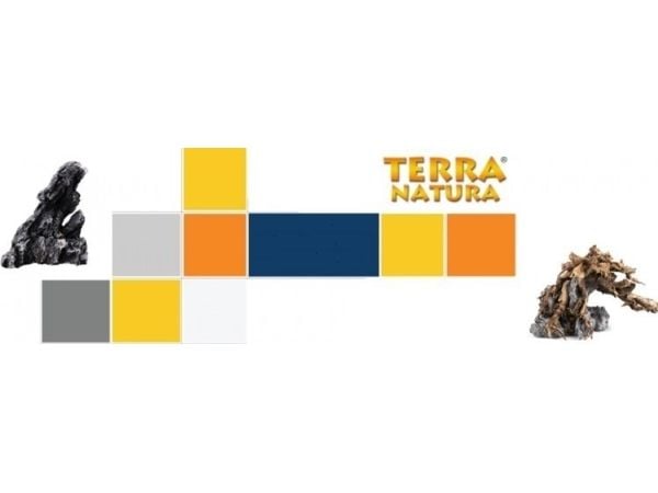 Terra Natura aavikkoterraarion koristelu