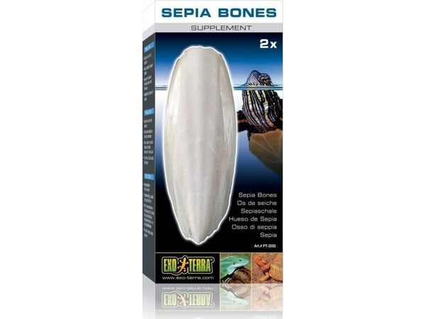 Fluval Exo Terra sepija (2vnt)