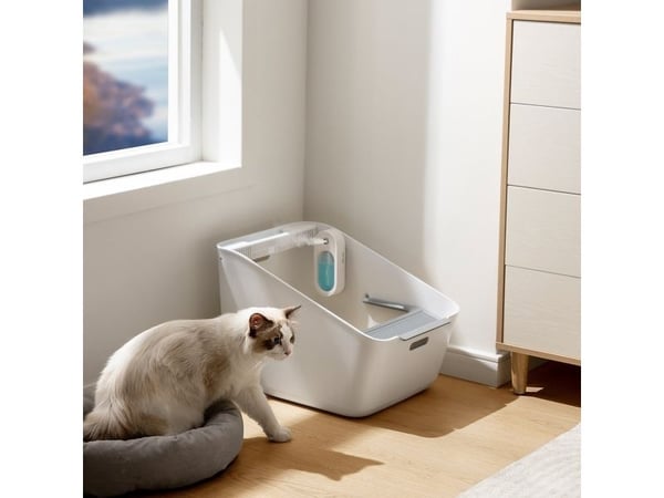 Baseus Animal Odour Neutraliser Baseus Flora J1 valkoinen (ACFJ000002)