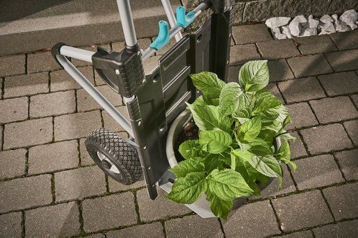 wolfcraft GmbH 5535000, Plast, Stål, Håndtruck, Sort, Grå, Turkis, 200 kg, 2 hjul, 630 mm