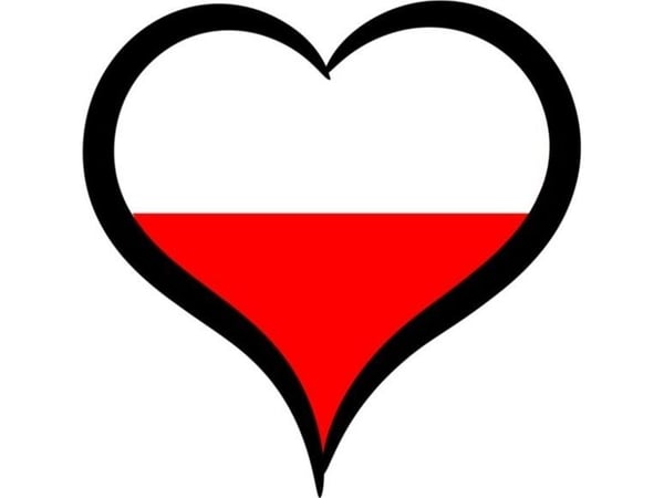 Harrastuskoira XXL VICTORIA MUSTA ECOLEN musta
