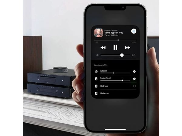 Arylic ARYLIC WiiM Mini Streaming Media Player Hi-RES