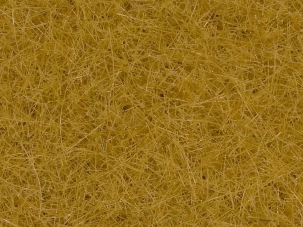 NOCH 07111, beige
