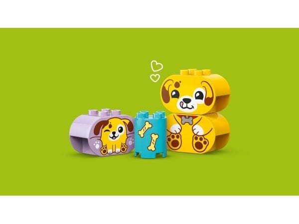 LEGO Duplo 10441 Formsorterare: valphus