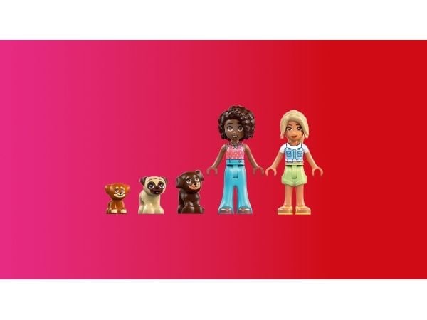 LEGO Friends 42665 Valplekplats