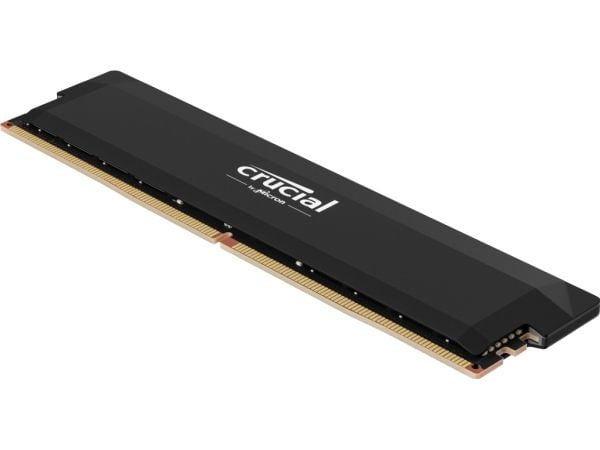 Crucial Pro - DDR5 - modul - 16 GB - DIMM 288-pin - 3200 MHz / PC5-51200 - CL38 - 1.35 V - ikke-bufret - on-die ECC - svart