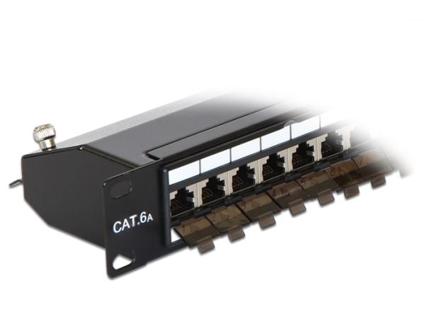 Delock - Koblingspanel - CAT 6a - RJ-45 X 24 - kullsort, RAL 9005 - 1U - 19"