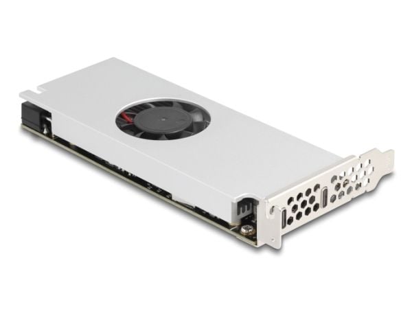 Delock - USB-adapter - PCIe 3.0 x16 lav profil - USB-C x 2