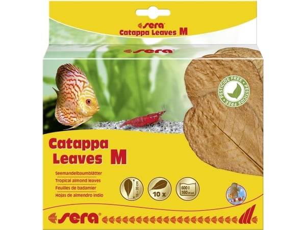 sera Catappa Leaves, Brun, Ferskvann, 10 stykker, Tyskland