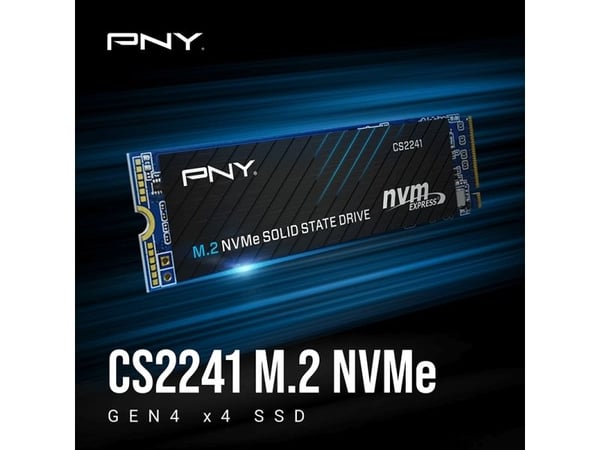 PNY M280CS2241-2TB-RB, 2 TB, M.2, 5000 MB/s