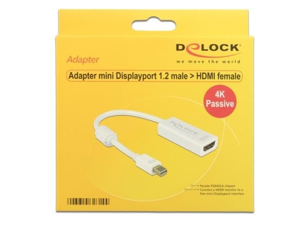 Delock - DisplayPort-adapter - DisplayPort (hann) til DVI-I (hunn) - 20 cm - hvit