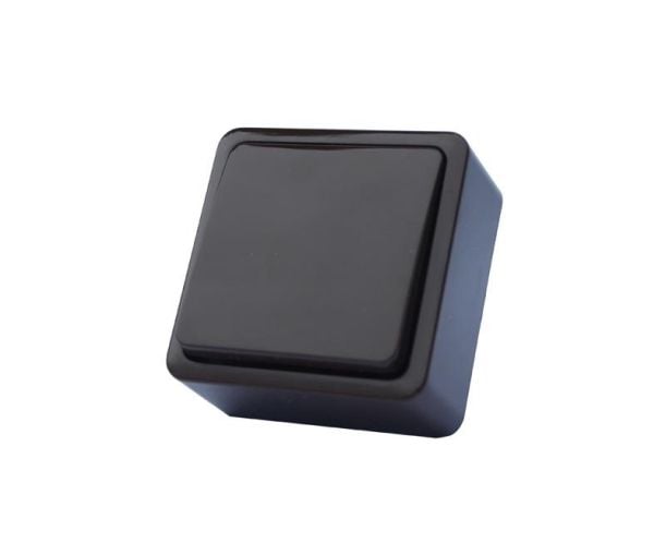 Vilma switch P110-010V Ov Plast 1-pol anthr sl+