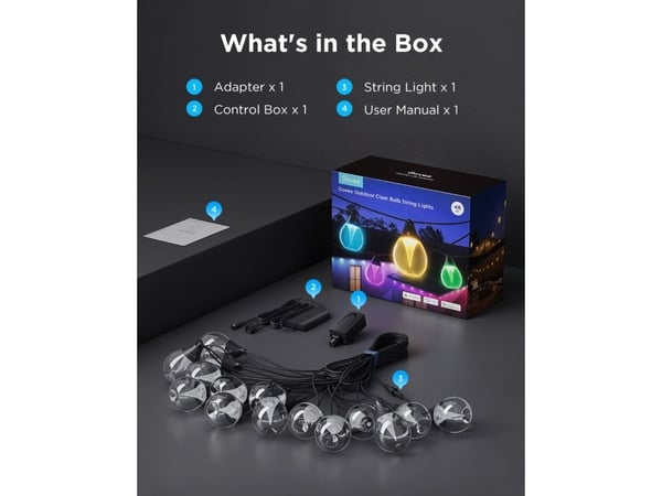 Govee Outdoor Clear Bulb String Lights