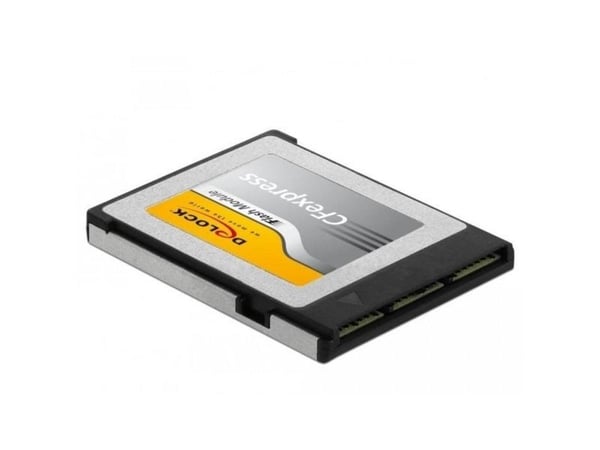 Delock - Flashhukommelseskort - 256 GB - CFexpress