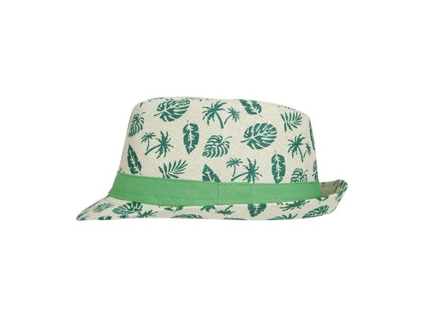 Tropisk hat