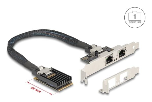 Delock - Nettverksadapter - PCIe Mini Card lav profil - Gigabit Ethernet x 2
