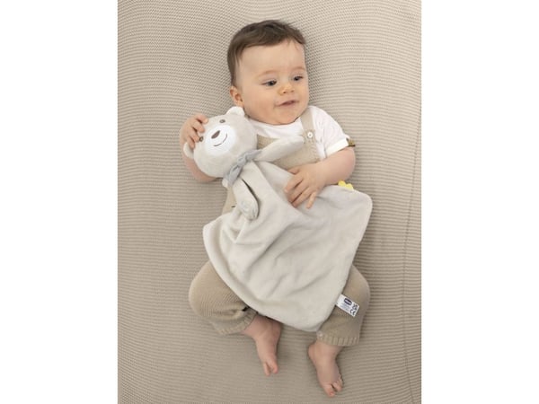 Chicco 00012159000000, Lekebjørn, AAA