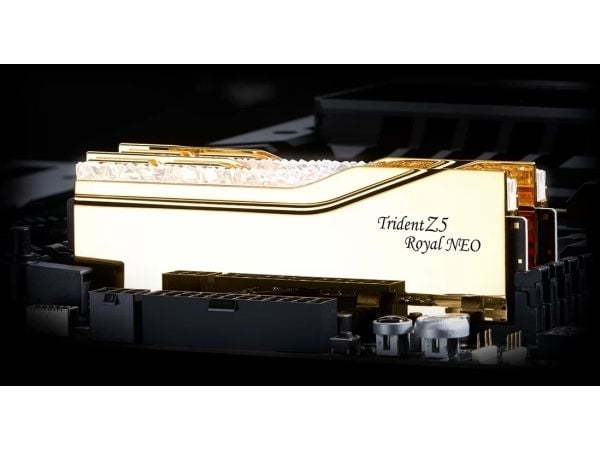 G.Skill Trident Z5 Royal F5-8000J3848F24GX2-TR5S, 48 GB, 2 x 24 GB, DDR5