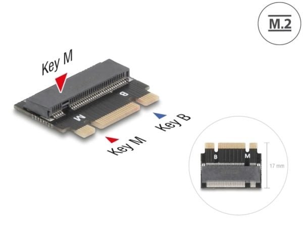 Delock-adapter M.2 Key B+M hann til M.2 Key M-spor - utvidelse