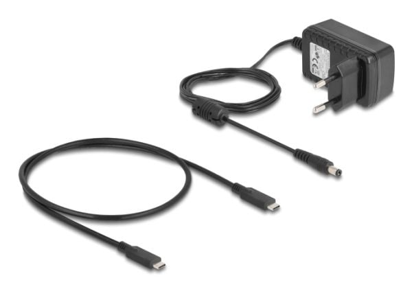 Delock - SSD-dokkestasjon - clone and erase function - brønner: 2 - M.2 - M.2 NVMe Card / PCIe (NVMe) - USB-C 3.2 (Gen 2) - svart