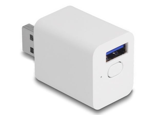 Delock - Smartsvitsj - WLAN, EASY-USB - trådløs - 802.11b/g/n - 2.4 Ghz - hvit