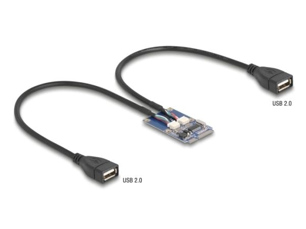 Delock - USB-sovitin - PCIe-minikortti - USB 2.0 x 2