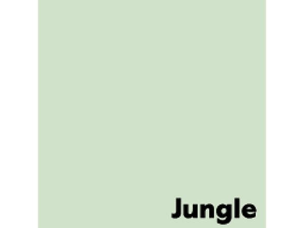Image, Coloraction, Jungle/pale green Kopipapir, træfri ECF, 80g/m2, 210mm x 297mm, A4, Smal bane, p
