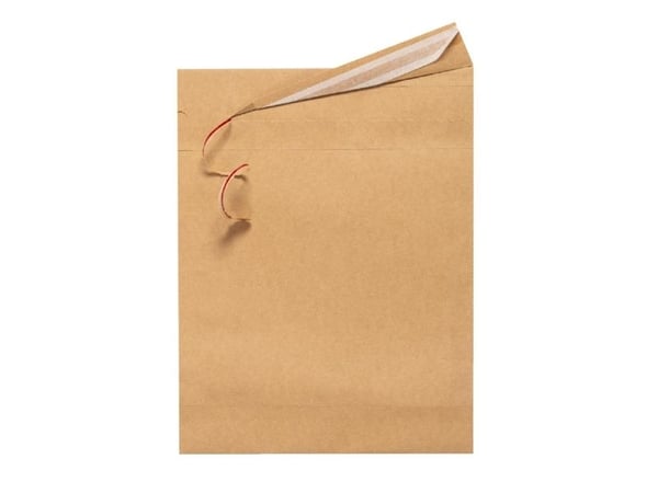Forsendelsespose i Papir, Master'in Access, 250 x 350 mm, flat bag 100 % genbrug permanent adhesive - (350 stk.)