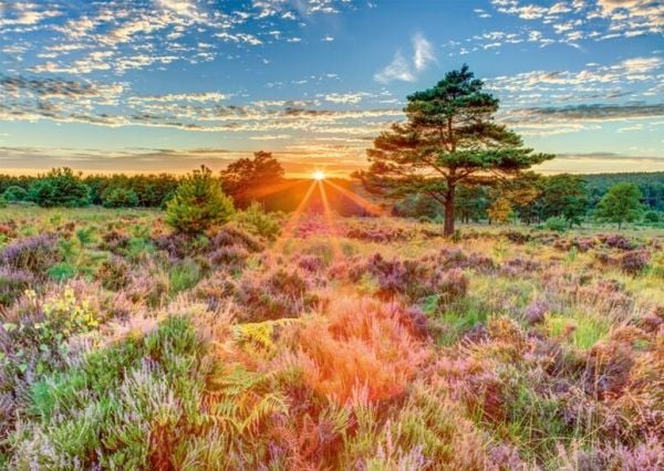 Schmidt Spiele Puzzle PQ 1000 Auringonlasku nummella G3