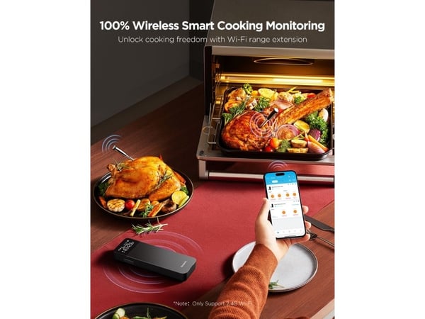 Govee smart trådlös köttermometer (2 sonder)