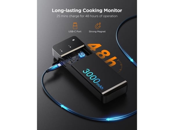 Govee smart trådlös köttermometer (2 sonder)