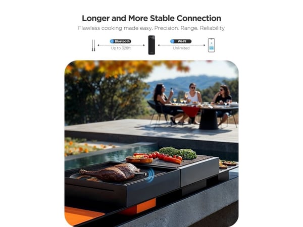 Govee smart trådlös köttermometer (2 sonder)