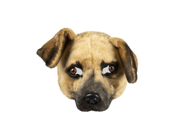 Hundmask