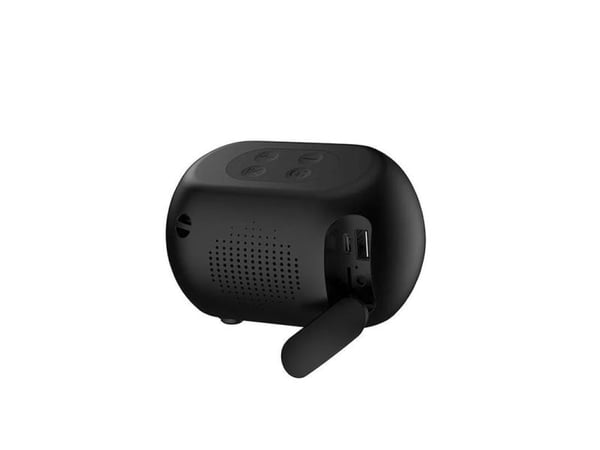Havit SK885BT trådlös Bluetooth-högtalare (svart)
