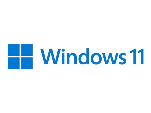 SW RET WIN 11 PRO FPP 64B ENG USB HAV-00163 MS