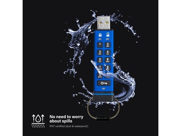 iStorage datAshur PRO - USB-flashstasjon - kryptert - FIPS 140-2 Level 3 - 256 GB - USB 3.0