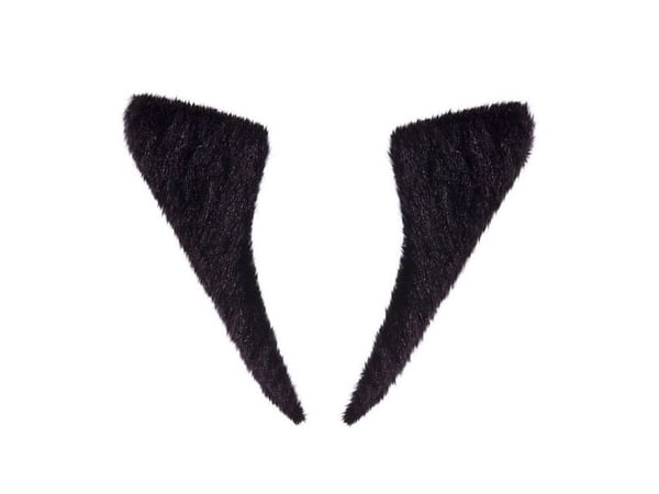 Svarta hakskägg