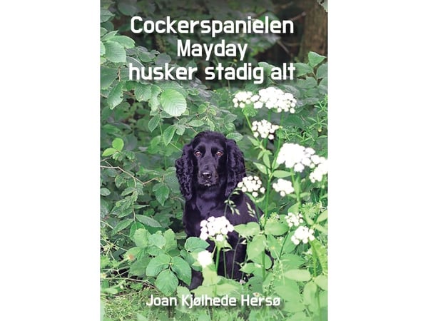 Cocker spaniel Mayday husker stadig alt | Joan Kjølhede Hersø | Språk: Dansk