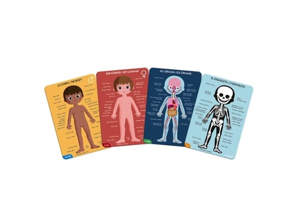Janod Human Body 50, 75 ja 100 el.
