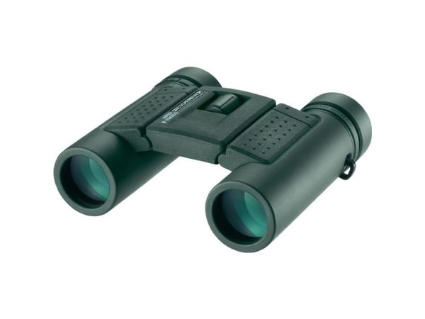 Eschenbach kiikari Sector F 10x25 B 10 x 25 mm tummanvihreä (4268125)