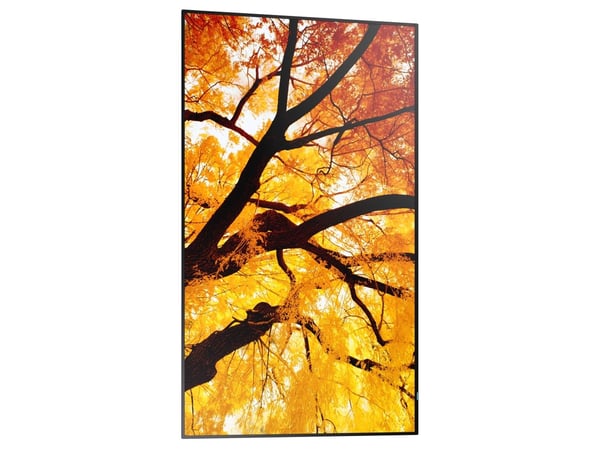 Sharp PN-M552 - LED-bakgrunnsbelyst LCD-skjerm - intelligent skilting - 4K UHD (2160p) 3840 x 2160