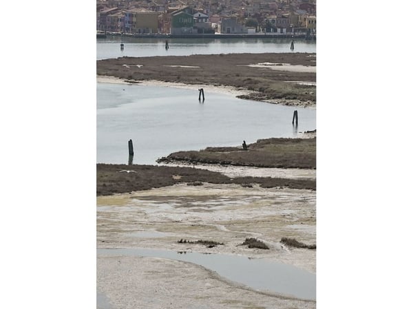Urban Shores | Anna Aslaug Lund, Ole Fryd & Gertrud Jørgensen | Språk: Engelsk