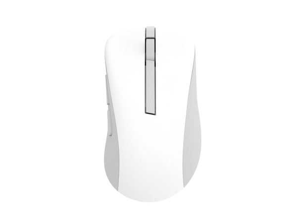 ASUS MD102 - Mus - ergonomisk - optisk - 5 knapper - trådløs - Bluetooth, 2.4 GHz - USB trådløs mottaker - hvit