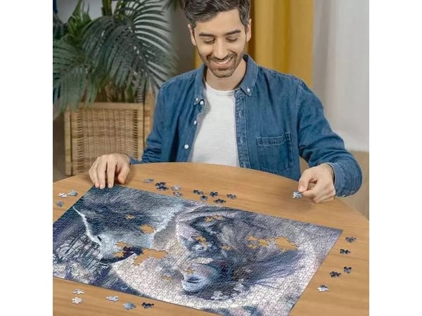Ravensburger 12000621, 1000 kpl, 14 vuosi/vuosia