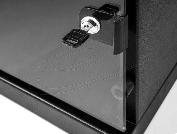 Delock - Skap - with glass door, 240 mm depth, load capacity 30 kg, 330 x 312 x 300 mm - veggmonterbar, stativmonterbar - svart - 6U - 10"